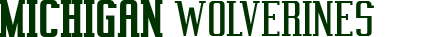 Michigan Wolverines