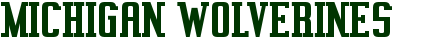 2011 Michigan Wolverines