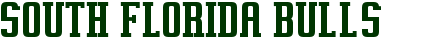 2011 South Florida Bulls