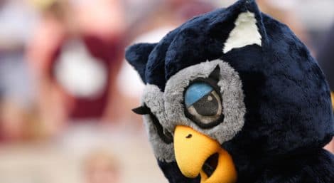 The Rice Owls mascot against the Texas A&M Aggies during the second half at Kyle Field. Texas A&M won 52-31. Mandatory Credit: Thomas Campbell-USA TODAY Sports