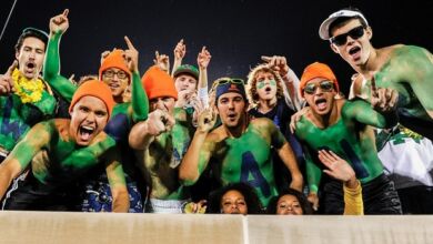 Notre Dame Football 2013