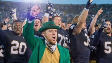 Oct 4, 2014; South Bend, IN, USA; The Notre Dame leprechaun cheers after the Notre Dame Fighting Irish defeated the Stanford Cardinal 17-14 at Notre Dame Stadium. Mandatory Credit: Matt Cashore-USA TODAY Sports