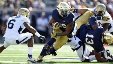Sep 19, 2015; South Bend, IN, USA; Notre Dame Fighting Irish running back C.J. Prosise (20) carries the ball against the Georgia Tech Yellow Jackets at Notre Dame Stadium. Mandatory Credit: RVR Photos-USA TODAY Sports