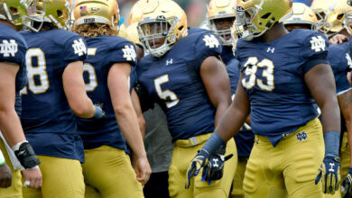 notre dame linebackers 2017