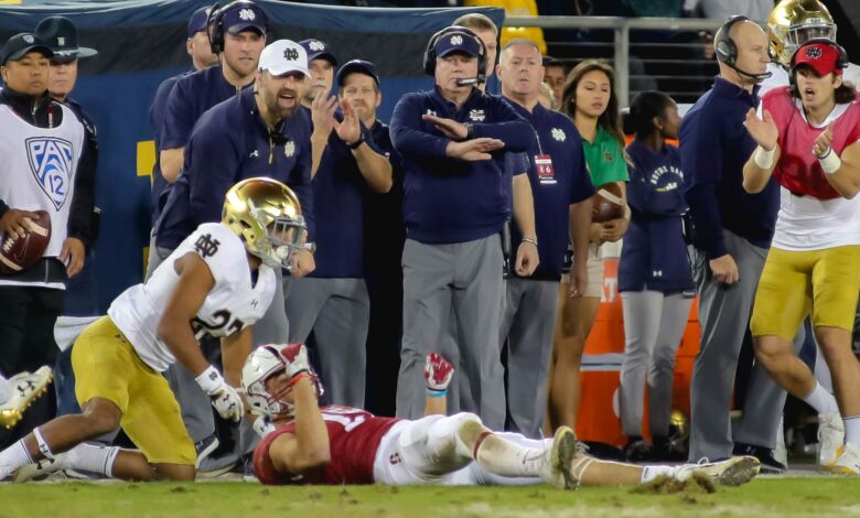 notre dame egg stanford