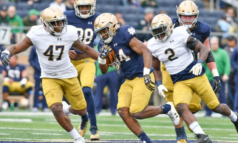 notre dame 2018 running backs