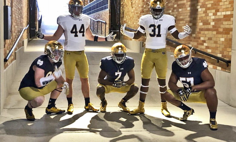 notre dame defensive class 2019