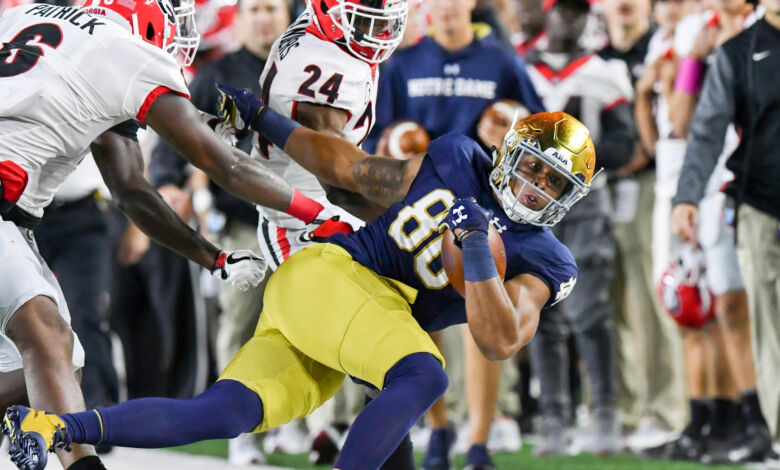 Notre Dame TE Alize Mack in action against Georgia.