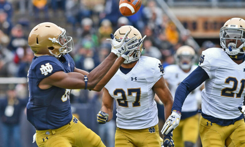 Notre Dame WR Miles Boykin in action in the 2018 Blue Gold Game