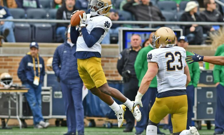 Notre Dame Safety Jalen Elliott