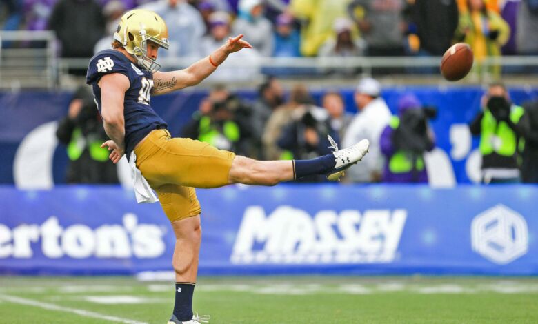 notre dame punter tyler newsome