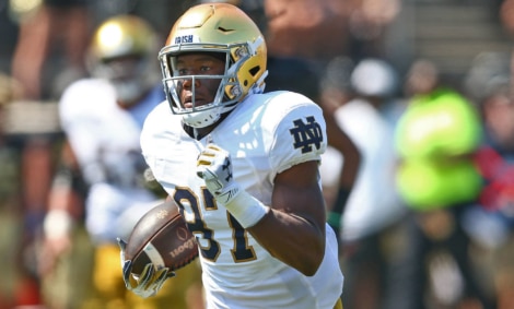 Notre Dame WR Michael Young