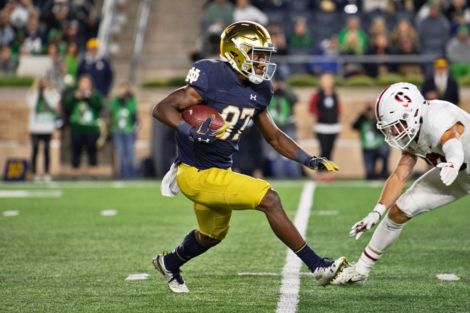 Notre Dame WR Michael Young