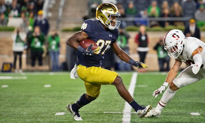Notre Dame WR Michael Young