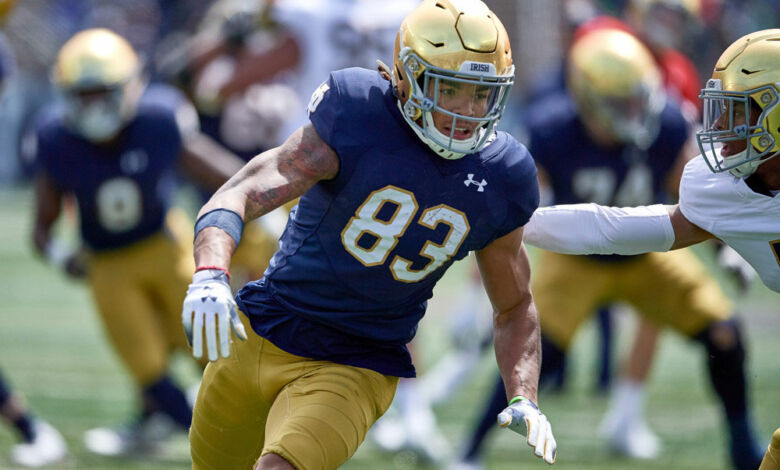 chase claypool notre dame 2019