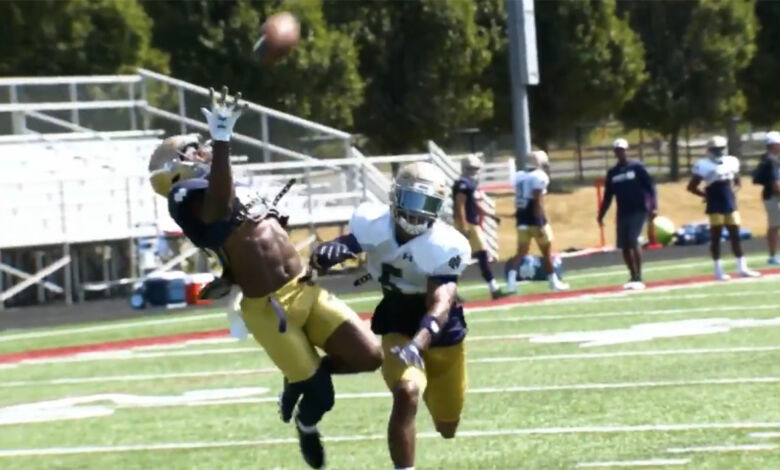 michael young notre dame crazy catch