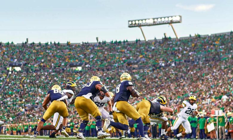 notre dame stock report michigan