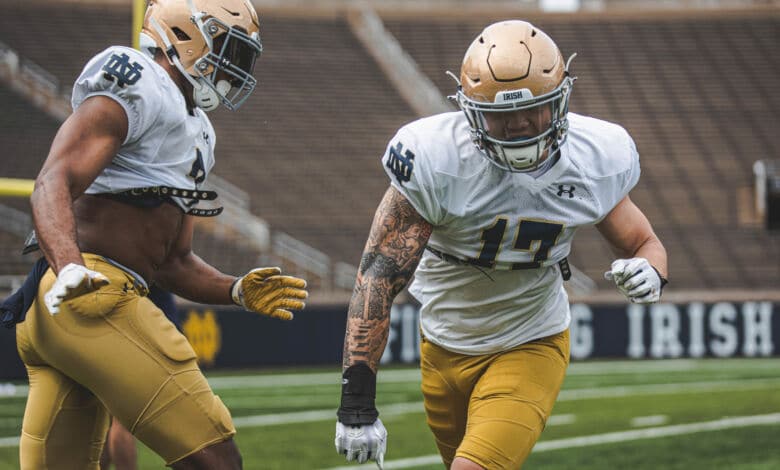 jordan botelho notre dame