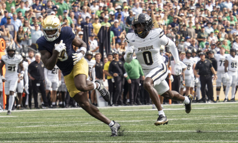 dmp250920008 puratnd