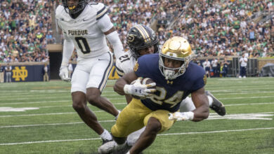 dmp250920021 puratnd