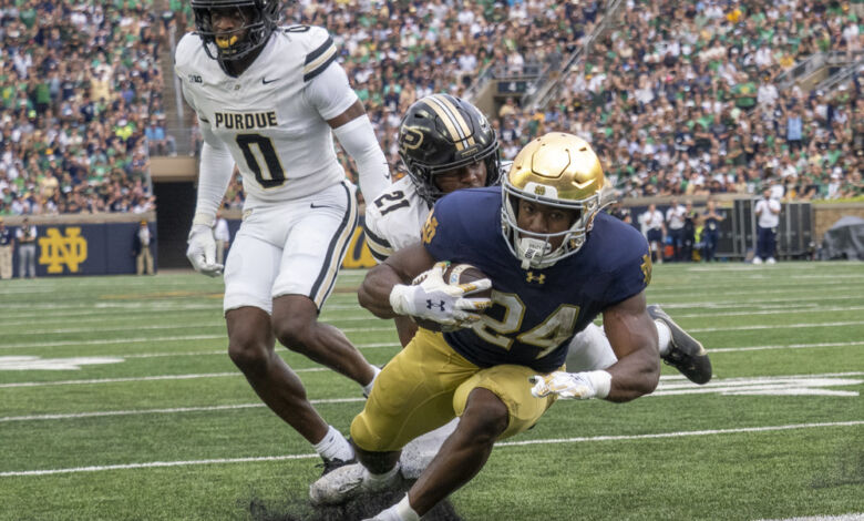 dmp250920021 puratnd