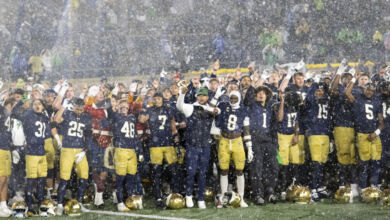 dmp251108130 navyatnd