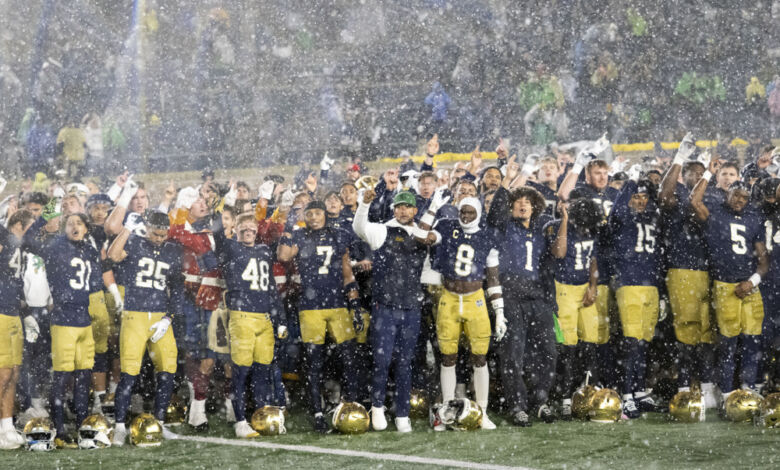 dmp251108130 navyatnd