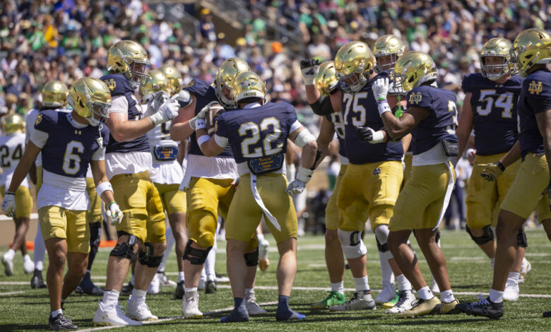 Notre Dame Fighting Irish running back Aneyas Williams
