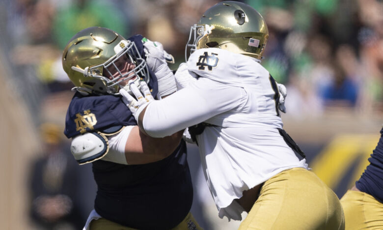 Notre Dame DL Christopher Burgess Jr