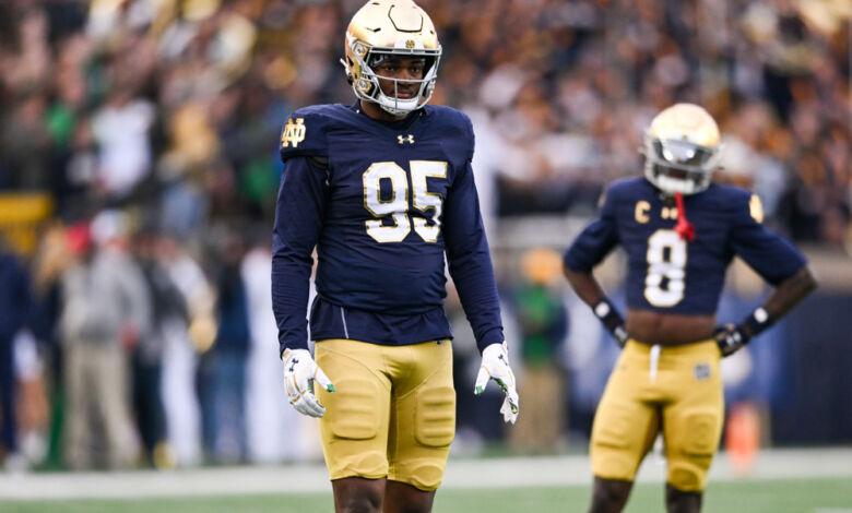 Notre Dame Fighting Irish DL Bryce Young