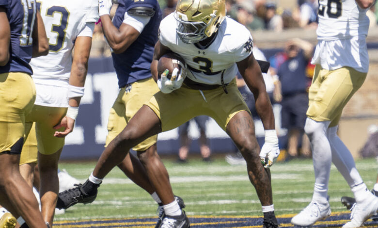 Notre Dame Fighting Irish linebacker Jaylen Sneed